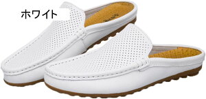 Y rWlXT_ amC  ItBX Г T_ Xb| h y [t@[ ƂȂ   JWA hCrOV[Y AEghA T{T