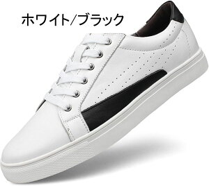 fbLV[Y Y Xj[J[ [t@[ Y Y JV Y EH[LOV[Y [XAbvV[Y vC Y [t@[ amvC 傫TCY ^]C 