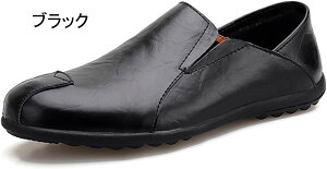 [t@[ Y y ₷ ʋC hCrOV[Y amC rWlXV[Y ItBX Ȃ 傫TCY Xb| vC _炩 JWA ʋ N[g ʊw l 