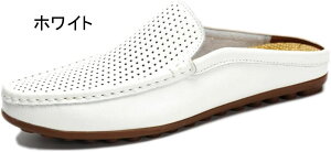 T_ Y ItBXT_ rWlX Xbp T{T_ vC hCrOV[Y y 傫TCY EȂ Xb| ƂȂ XbpT_  Г 