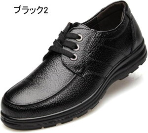 [t@[ Y rWlXV[Y JV Y hCrOV[Y Y vC amvC ꃍ[t@[ 傫TCY ^]C XbvI  JWA EH[LO