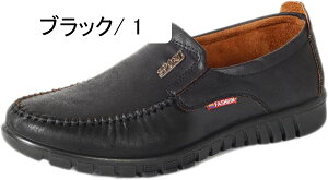 [t@[ Y hCrOV[Y Y JV Y rWlXV[Y amvC Y vC [t@[ 傫TCY ^]C XbvI  JWA EH[LO