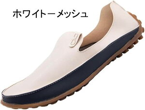 [t@[Y hCrOV[Y Y JV u`bv vC Y rWlXV[Y JVV[Y 傫TCY [t@[ E₷ amvC t  H ʋC ~ 