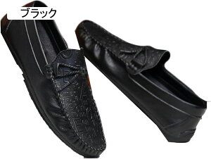 [t@[ Y hCrOV[Y rWlXV[Y Y JV u`bv vC Y amvC Y [t@[ LeBOH I Ђ _炩  U[