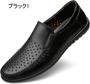 [t@[ Y u`bv vC hCrOV[Y rWlXV[Y Y amvC t Y JWAV[Y ʋC ɂ _炩 傫TCY Y [t@[ 