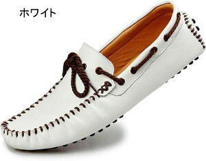 fbLV[Y hCrOV[Y Y L y ^]C hCu l Ȑ h ʋ L Xb| ₷ TCY ks amC Sn JV [t@[