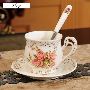 1qZbg Jbv\[T[ eB[JbvZbg Z~bN { hNJbv [bp R[q[Jbv ϔMM qp Ԓ S[ft[c p[eB[p g  