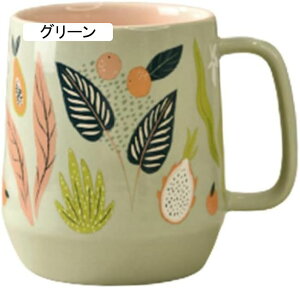 R[q[Jbv Jbv am  fG Vv k v[gɍœK  A {^jJ lfUC ObY H ̓ }OJbv hV̓ 600ml YȃRbv 傫 y O