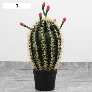 tFCNO[ T{e   ϗtA lHϗtA A tFCNϗtA lHϗtA CeA sv ͂Ȃ C Q쏜sv O[ tFCNA I