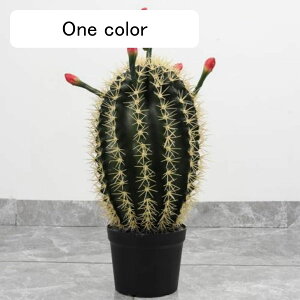 tFCNO[ T{e   ϗtA lHϗtA A tFCNϗtA lHϗtA CeA sv ͂Ȃ C Q쏜sv O[ tFCNA I