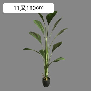 Xg`A Ml lHϗtA ^  lH~ K[f JtF Lb` xbh[ tFCNO[ j JXj ̓ _ԂɍœK ͂Ȃ sv b