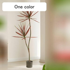 tFCNO[  ^ϗtA hZi E[c  lHϗtA tFCNϗtA CeA  O C sv ͂Ȃ ~͐A 傫 { 