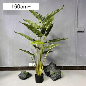 lHϗtA tFCNO[ ϗA  O ItBX CeA CeAO[ ^ O[i[Ct v[g zj  ̓ bsv ₷