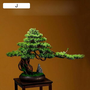 ϗtA  37cm ̖ tFCNO[ ~jTCY lH [n\ CeAO[ u A tFCNA b炸 sv ~͐A f[ K[fjO v