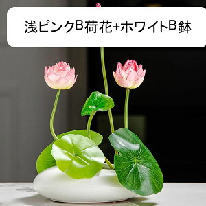 lHϗtA  ~j t   lH~ O ItBX CeA CeAO[ tFCNO[  j fRp _ԂɍœK bsv ₷