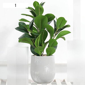 �ϗt�A�� ��� �t�F�C�N�O���[�� ������ �����X�e�� �l�H �C���e���A�O���[�� �u�� ���A�� �t�F�C�N�A�� ���A�� �͂�Ȃ��O���[�� �k���� �~�͐A�� ���� �뉀 �i���X �K�[�f������ �J�Əj�� 