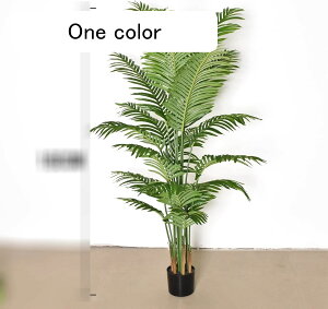 lHϗtA AJV tFCNO[ ϗtA  K[f JtF Lb` xbh[ ^ _ԂɍœK j C JXj ̓ ȒP QȂ