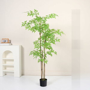 tFCNO[ ^ ie lHϗtA ډB 180CM t tFCNϗtA tFCNO[ lHϗtA CeA  O sv ͂Ȃ ȒP Vv