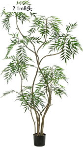 lHϗtA | tFCNO[ ϗA   GgX  z[ ^ O[i[Ct v[g 悯oRj[ zj ̓ bsv ₷