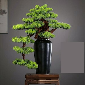 lHϗtA ^  EFJpC~ lHϗt CeAG EFfBOZ^[s[X tFCNO[ v[g zj  ̓ ͂Ȃ sv b