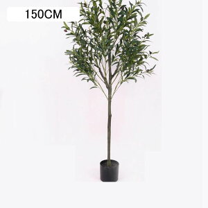 lHϗtA tFCNO[ ȒPgݗ I[u̖ xW~ ϗt  K[f JtF Lb` xbh[ ^ _ԂɍœK  j bsv ₷