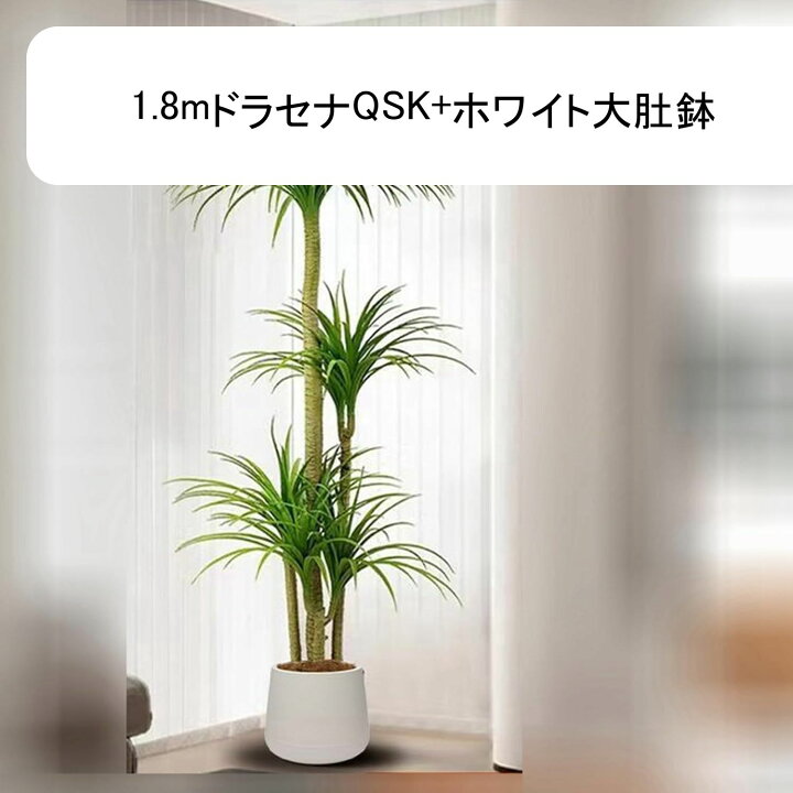 楽天市場】人工観葉植物 ドラセナ フェイクグリーン 観葉植物 造花 