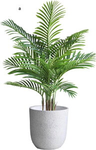 ϗtA AJV 170cm 150cm tFCNO[ ^TCY lH u^ ͂ȂO[ A lHϗtA sv ~͐A f[ K[fjO v[g /