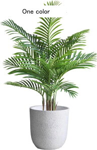 ϗtA AJV 170cm 150cm tFCNO[ ^TCY lH u^ ͂ȂO[ A lHϗtA sv ~͐A f[ K[fjO v[g /