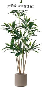 ϗt X i ƒ    ^  tFCNO[ lHϗtA  j fRp ͂Ȃ sv b炸  A O[i[Ct Mtg