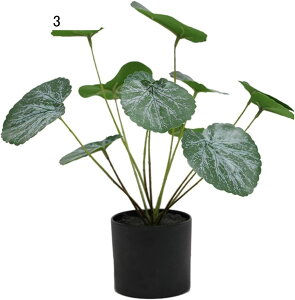 tFCNO[   ϗtA lHϗtA tFCNϗtA lHϗtA CeA  O sv Q̐SzȂ ~͂̃TCY { O[ A 