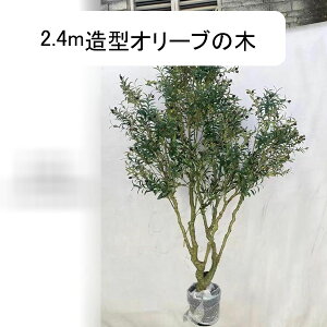 lHϗtA I[u̖ tFCNO[ tFCNA  CeAG EFfBOZ^[s[X ^ O[i[Ct v[g ̓ ͂Ȃ sv b炸