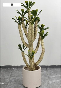 tFCNO[ LML A ^ A lHϗtA CeAO[ ϗtA ϗt tFCNc[ { bsv ͂ȂO[ tFCNt lH i`