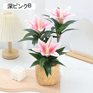  lHϗtA ~j ^  E  lH~ K[f Lb` xbh[ tFCNO[ v[g zj  O[i[Ct bsv ₷