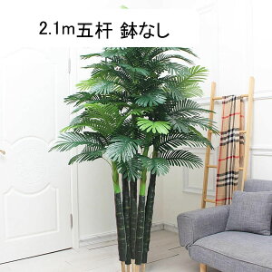 lHϗtA AJV tFCNO[ ϗt  ze rO [ ɒuA  ^ O[i[Ct j JXj ̓ bsv ₷ A