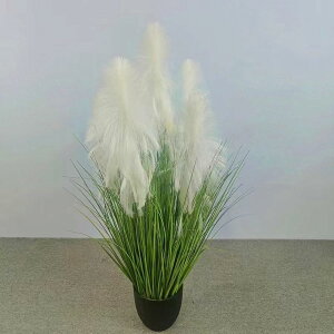 tFCNO[ H 180cm ^ϗtA lHϗtA tFCNϗtA lHϗtA CeA  O sv A O  ItBX a G} ԕ Q̐SzȂ