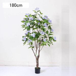 AWTC lHϗtA ^  lHΐA K[f JtF Lb` xbh[ tFCNO[ v[g zj  ̓ O[i[Ct ͂Ȃ sv 