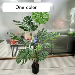 Xe lHϗtA ^  lHΐA  GgX  z[ tFCNO[ v[g zj  ̓ O[i[Ct ȒP QȂ