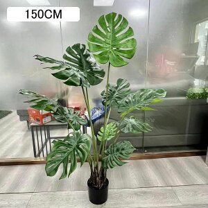 Xe lHϗtA ^  lHΐA  GgX  z[ tFCNO[ v[g zj  ̓ O[i[Ct ȒP QȂ