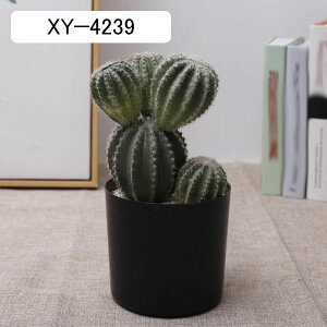 tFCNO[ CeAO[ T{e A~j lH ϗtA  A e[ufR[V ԕrt    Mtg ItBX   Ƃ̑