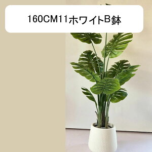 lHϗtA Xe ^  lHΐA K[f JtF Lb` xbh[ tFCNO[  j fRp O[i[Ct ͂Ȃ sv b炸