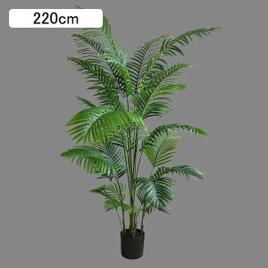 AJV lHϗtA tFCNO[ tFCNA  ze rO [ ɒuA  ^ O[i[Ct  j fRp bsv ₷