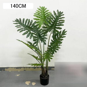 lHϗtA ^  lH~  GgX  z[ 120CM Xe tFCNO[  j fRp _ԂɍœK ȒP QȂ A