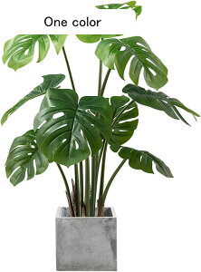 ϗtA  Tw| tFCNO[ A  lH 120cm 80cm CeAO[ u A |JSt lHϗtA k ȒPb炸 sṽz[ ͐A 