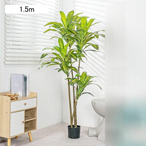 tFCNO[  hZi 150cm CeA A lHϗtA ϗtA lHt lHA  Vv ItBX  ȒPb炸 ͂Ȃ ȒP t A