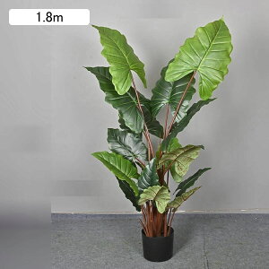 lHϗtA ^ (|gX)  lHΐA O ItBX CeA CeAO[ tFCNO[  j fRp O[i[Ct ȒP QȂ