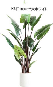 C{[J[eBA lHϗtA ^  lH~  GgX  z[ tFCNO[ v[g zj  ̓ _ԂɍœK ͂Ȃ sv