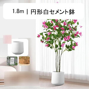 tFCNO[ ~  CeA A lHϗtA ϗtA v~A lHA ϗt ̂t ͂Ȃ ͐A sv  rO xbh[ JtF 