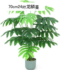  ~j   lHϗtA ^  lHA  GgX  z[ tFCNO[ j JXj ̓ _ԂɍœK ȒP QȂ