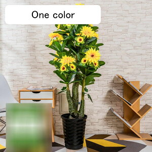 tFCNO[ ԃO[ 155cm o Ђ܂ ԃACr[ 傫 tFCN A CeAO[ ^ { ϗtA ϗt bsv ͂Ȃ f[ K[