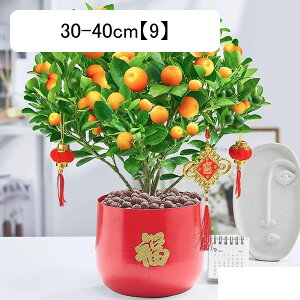 LJ̖ CeA O[ TCY ~J AȖ~ tFCNO[ p lHϗtA ~jA sṽz[ A Q̐SzȂ ȒPb炸 z[ 